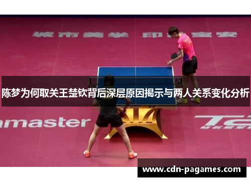 陈梦为何取关王楚钦背后深层原因揭示与两人关系变化分析