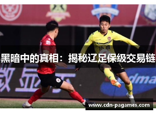 黑暗中的真相:揭秘辽足保级交易链 黑暗中的真相:揭秘辽足保级交易链