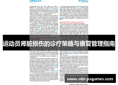 运动员肾脏损伤的诊疗策略与康复管理指南 运动员肾脏损伤的诊疗策略与康复管理指南